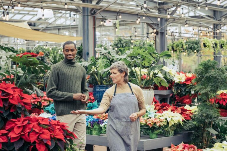 Holiday Planning: Seasonal Promotion Strategies For Plant Nurseries