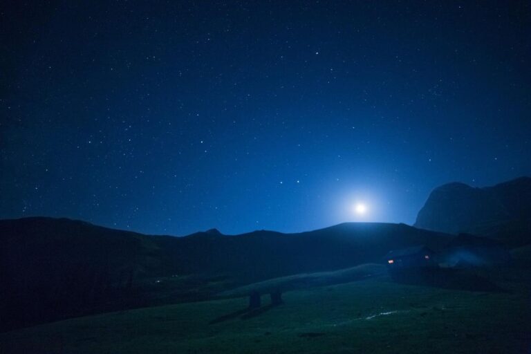Setting Your North Star: How Guiding Principles Drive Business