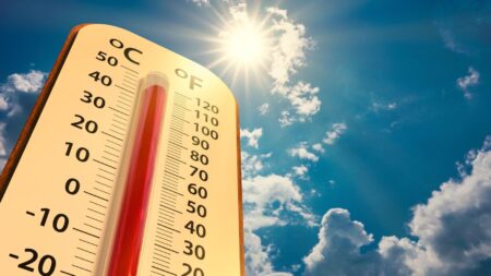 Extreme Heat-Related Cardiovascular Deaths Will Double By Midcentury At Current Emission Pace, Study Finds