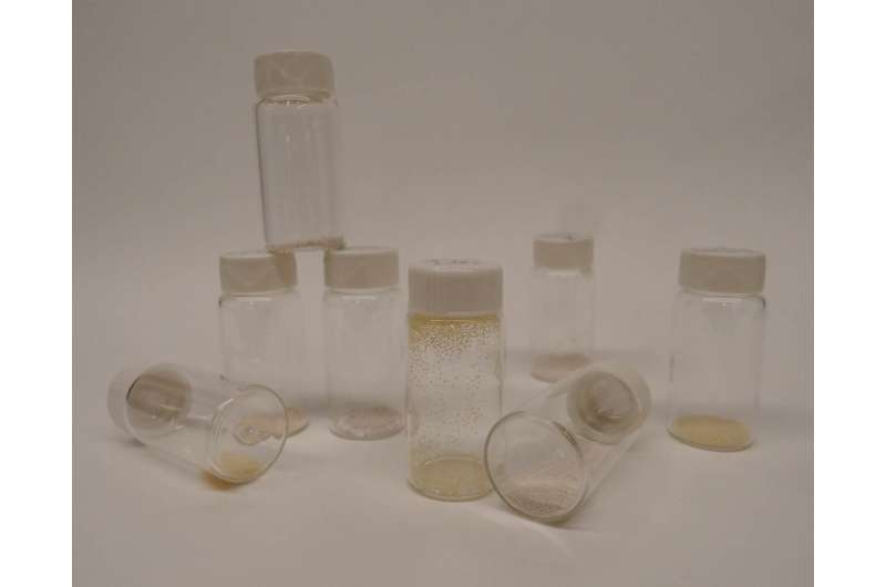 Credit: Dravid lab / Northwestern University Carbon capture method plucks CO2 straight from the air