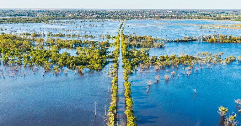 DeepMind Wants to Use AI to Solve the Climate Crisis