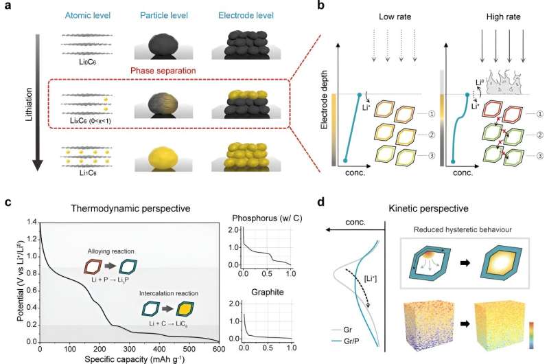 Mitigating electrode-level heterogeneity using phosphorus nanolayers on graphite for fast-charging batteries