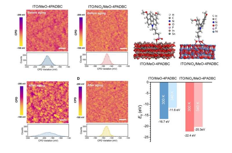 Electrical properties and theoretical calculations of perovskite solar cells under thermal stress. Credit: Professor Zhu Zonglong’s research group / City University of Hong Kong Pivotal breakthrough in adapting perovskite solar cells for renewable energy