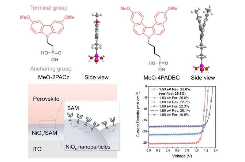 Molecular structure of the novel SAM, schematic illustration of SAM deposition method, and photovoltaic performance of SAM-based perovskite solar cells. Credit: Professor Zhu Zonglong’s research group / City University of Hong Kong Pivotal breakthrough in adapting perovskite solar cells for renewable energy