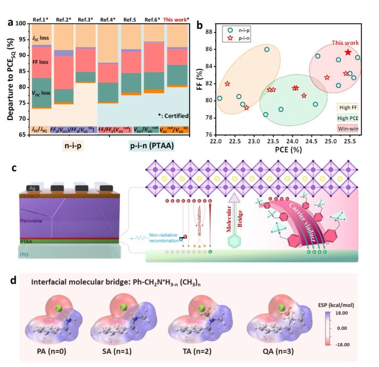 Novel molecular bridge strategy boosts efficiency of perovskite solar cells