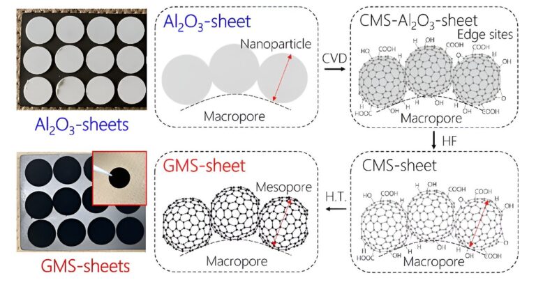 A new benchmark for high-performance carbon cathodes in lithium-oxygen batteries