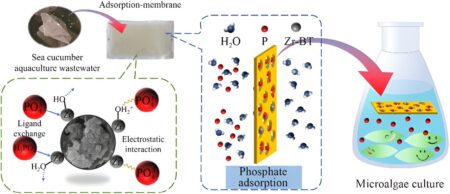 Highly efficient method for removal of phosphate from aquaculture wastewater