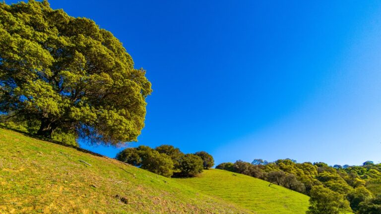 How come founders don’t give a crap about sustainability?