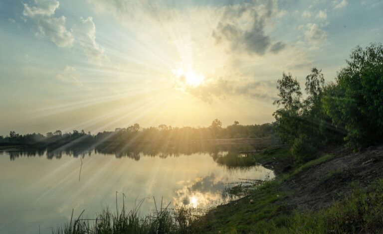 Why 2024 could be a hot year for startup founders