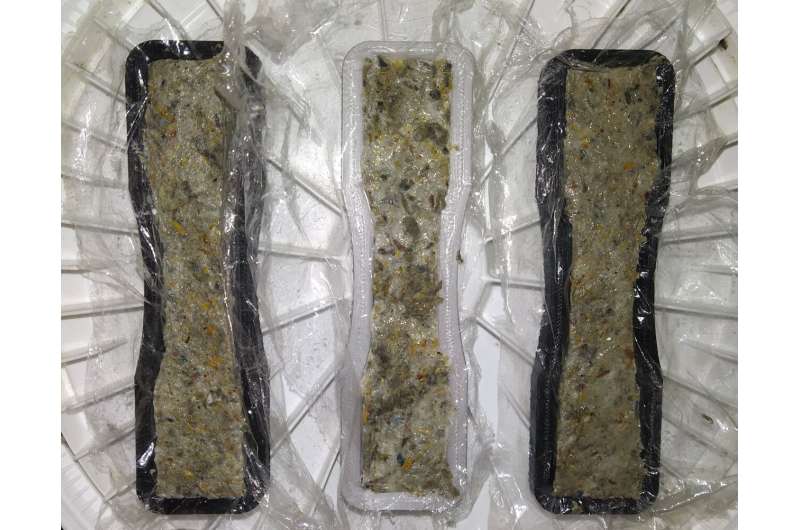 Rice husk and recycled newspaper may be the eco-friendly insulation material of the future