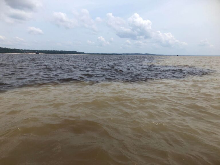 The Surprising Link Between Malaria And River Color