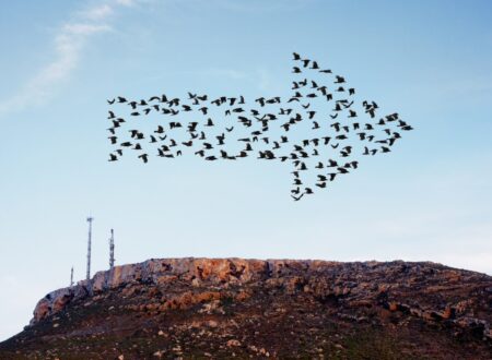 Negotiating cross-border investments: Insights from a seasoned investor