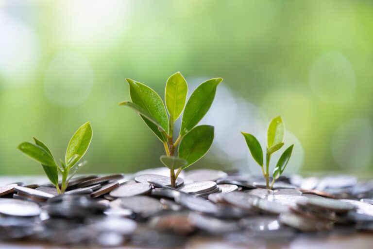 Climate Change, Equity And Resilience: How Investors Can Have A Triple Impact