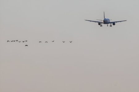 UK slams three airlines over greenwashing ads
