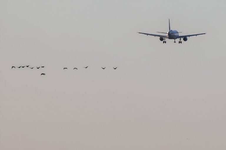 UK slams three airlines over greenwashing ads
