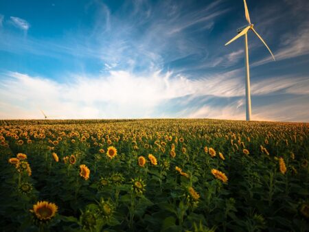A modified flower pollination algorithm for wind power generation