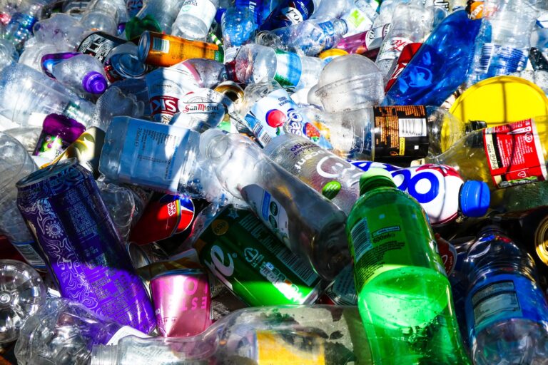 New circular economy roadmap reveals how to reduce plastic waste in India