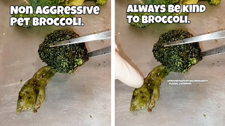 Viral Video Of Writhing ‘Lab Broccoli’ Attributed To Bill Gates Actually Fake