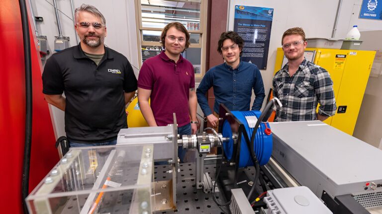 How gray boxes and a jellyfish could help advance wave energy