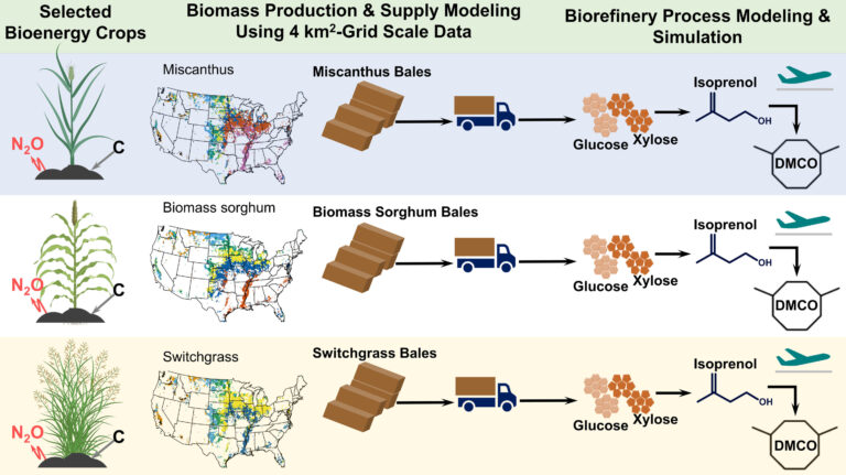 Study identifies performance, economic and environmental tradeoffs involved in turning plants into jet fuel