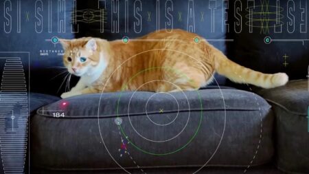 See The Cat Video NASA Laser-Beamed Across 19 Million Miles Of Space