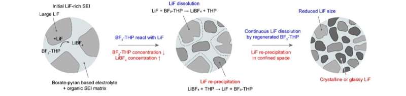 A Borate-pyran-based electrolyte that minimizes corrosion in Li-metal batteries 