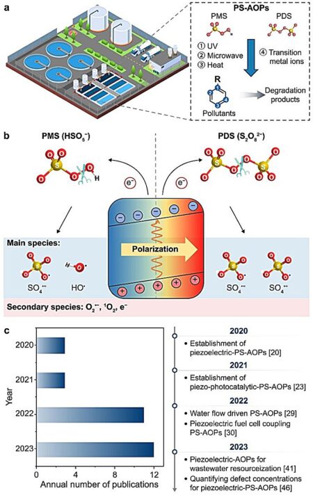Unlocking sustainable water treatment: The potential of piezoelectric-activated persulfate