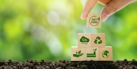 Sustainable Business: Leveraging User Insights Is Key To Greener Profits
