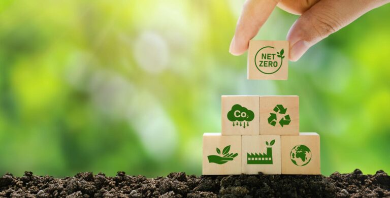 Sustainable Business: Leveraging User Insights Is Key To Greener Profits