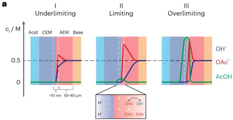 Model outlines how ionic blockades influence energy recovery in forward bias bipolar membranes