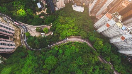 How To Authentically Implement Stakeholder Governance: Six Lessons From Leading Multinationals