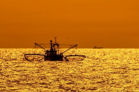 Dragging Nets Along The Seabed Could Be Releasing Carbon, Study Finds