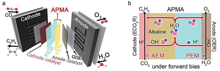 A pure water-fed membrane-electrode-assembly system for electrocatalytic reduction of carbon dioxide