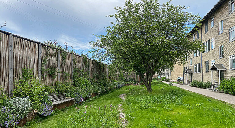 Innovative stormwater solution unveiled to tackle record rainfall in Denmark