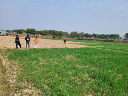Why Aren’t Farmers In Bangladesh Adopting Climate Smart Agriculture?