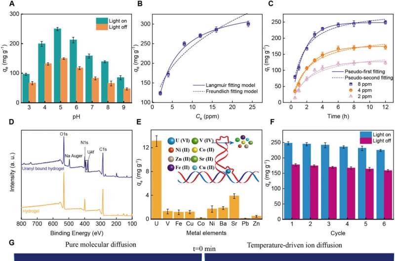 UO22+ adsorption capacity of GDH in spiked simulated seawater. (A) Effect of pH on the equilibrium adsorption capacity of UO22+ in aqueous solution under simulated sunlight or in the darkness. (B) UO22+ adsorption isotherms by GDH. (C) Kinetics of UO22+ adsorption by GDH in UO22+ spiked simulated seawater at different concentrations. (D) XPS analysis of GDH before and after UO22+ binding. (E) Adsorption capacity of GDH for coexisting interfering ions with concentration 100 times higher than that in natural seawater. (F) Equilibrium adsorption capacity of UO22+ for six consecutive adsorption-desorption cycles under simulated light or in the darkness. (G) Numerical simulation of ion migration driven by a purely diffusive flow and in the presence of a temperature gradient, respectively. (H) Schematic illumination of the formation of an ion migration equilibrium of the GDH system upon solar evaporation. (I) Performance of GDH for uranium extraction in the presence of heating or the solar powered interfacial evaporation process. (J) Uranium extraction from a mine water mimic sample by the GDH in the dark or under illumination. Credit: Science Advances, doi: 10.1126/sciadv.adj1677 Solar-powered simultaneous highly efficient seawater desalination with smart DNA hydrogels