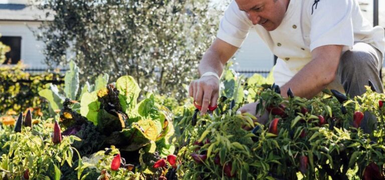 Inside The Rosewood Miramar’s Mission To Create Circular Sustainability