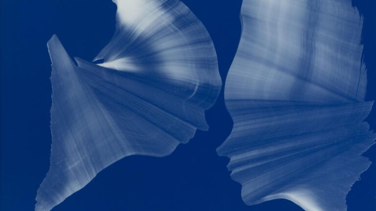 End-Of-Life: The One Decision AI Cannot Predict