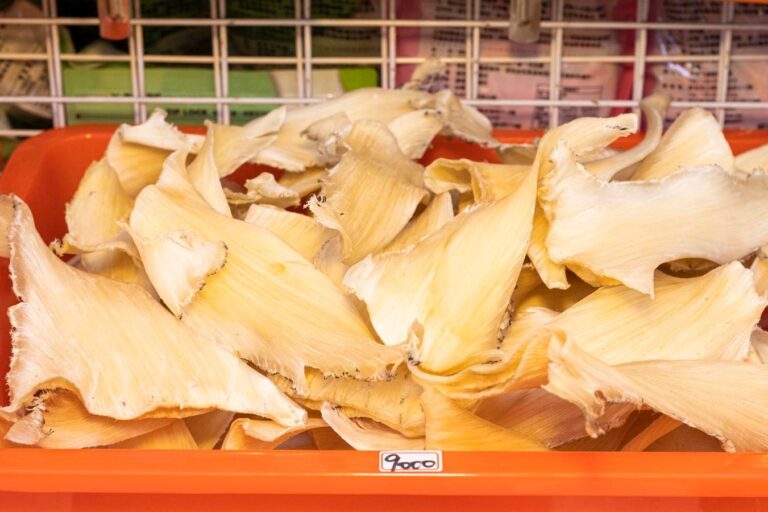 The Secrets Of The Shark Fin Trade In Singapore