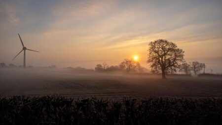 Valentine’s Day: A Love Letter To Renewable Energy