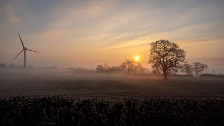 Valentine’s Day: A Love Letter To Renewable Energy
