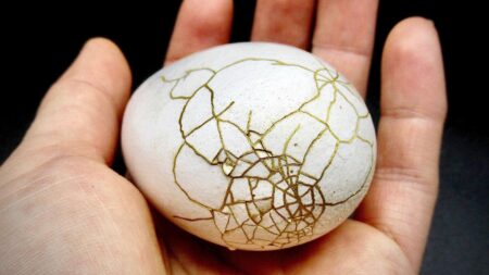 OpenAI’s Sora Challenges The Art Of Medicine