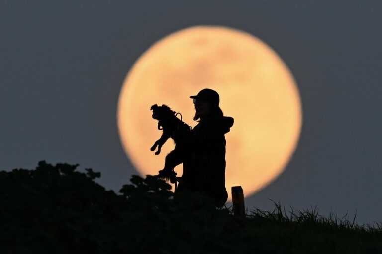 In Photos: See The Spectacular’ Snow Moon’ Set Up March’s ‘Worm Moon Eclipse’