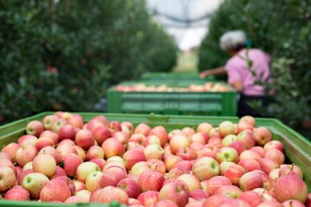 ProducePay raises $38M to tackle produce supply chain waste