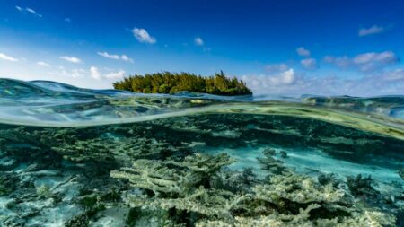 Big Risks As Oceans Overheat