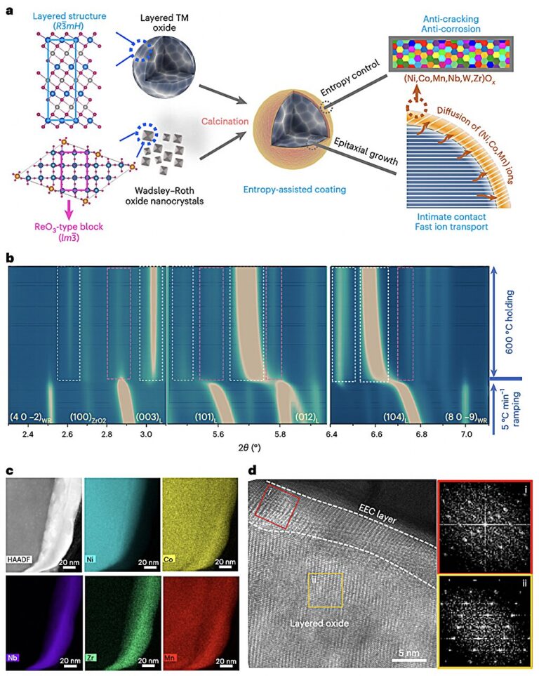 A strategy to suppress strain propagation in ultrahigh-Ni cathodes during fast charging