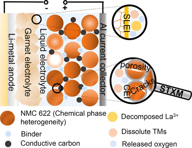 Findings pave way for longer-lasting solid-state batteries