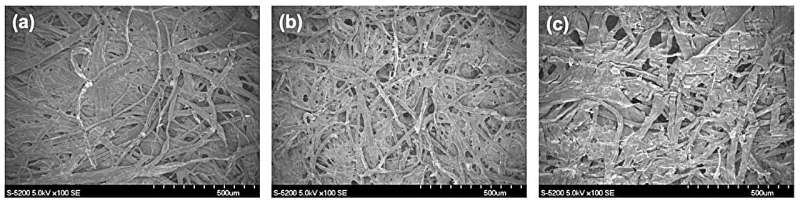 Drawing inspiration from plants: A metal–air paper battery for wearable devices