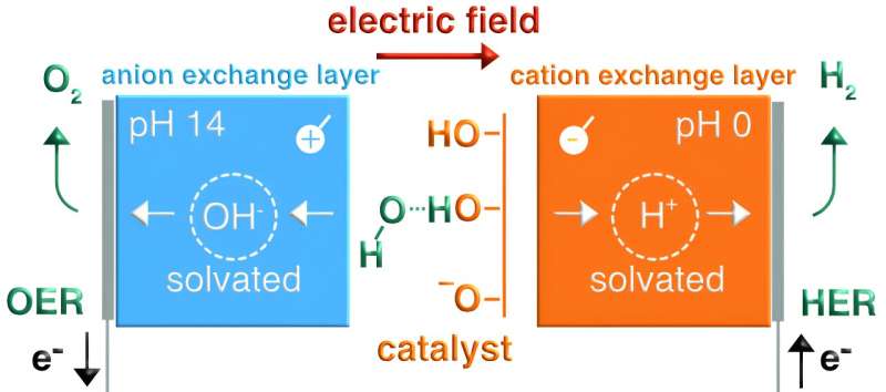 New insight about the working principles of bipolar membranes